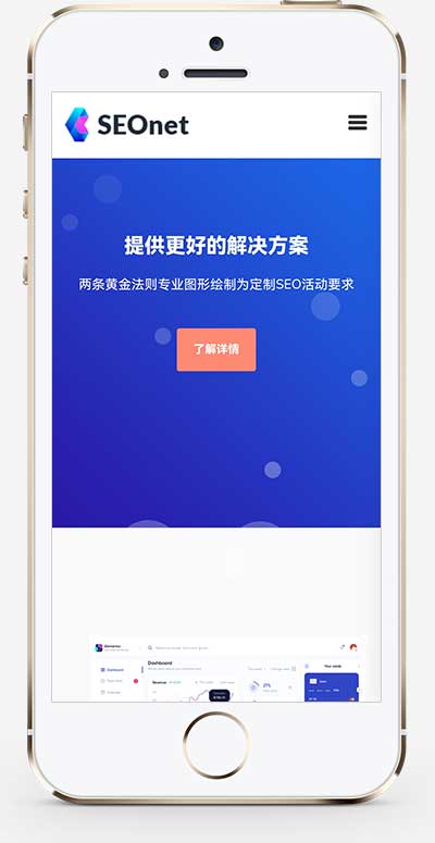 (自适应手机端)SEO优化网络公司网站模板 互联网软件 第2张 (自适应手机端)SEO优化网络公司网站模板