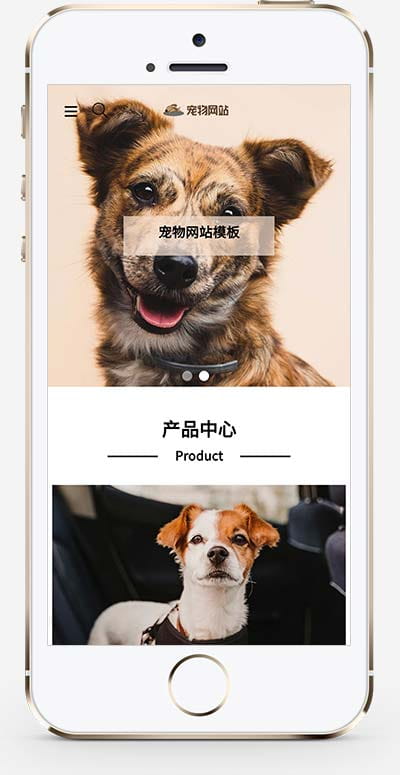 (自适应手机端)宠物商店宠物装备类网站pbootcms模板 宠物网站源码下载 pbootcms 第2张 (自适应手机端)宠物商店宠物装备类网站pbootcms模板 宠物网站源码下载